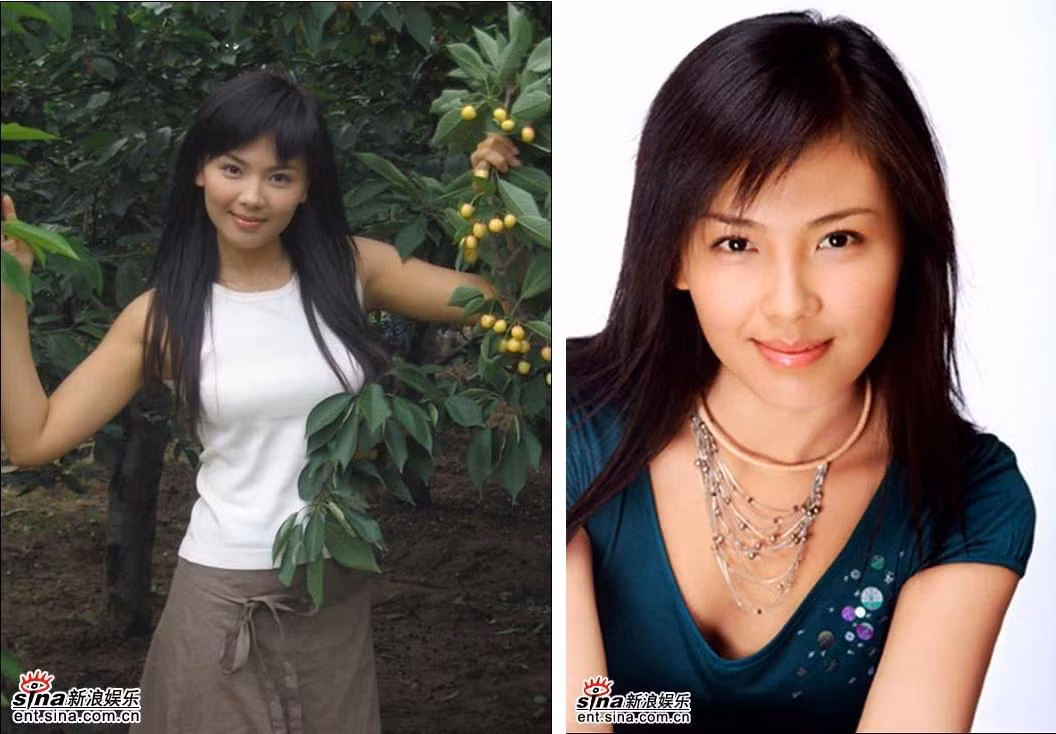 Năm 2002, Lưu Đào ký hợp đồng với một công ty chuyên chuyển thể tiểu thuyết Quỳnh Dao, góp mặt trong các bộ phim ngôn tình như "Hoan Lạc Thanh Xuân", "Đỏ và Đen 2000"...