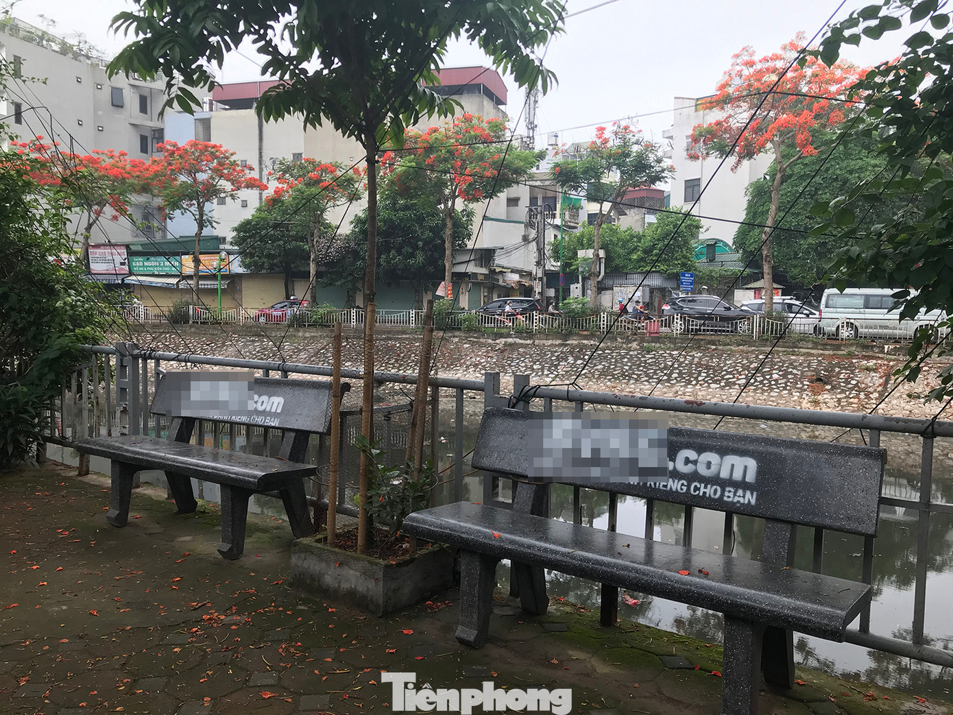 Có những ghế đá còn rất mới cũng bị phun sơn quảng cáo rất phản cảm.