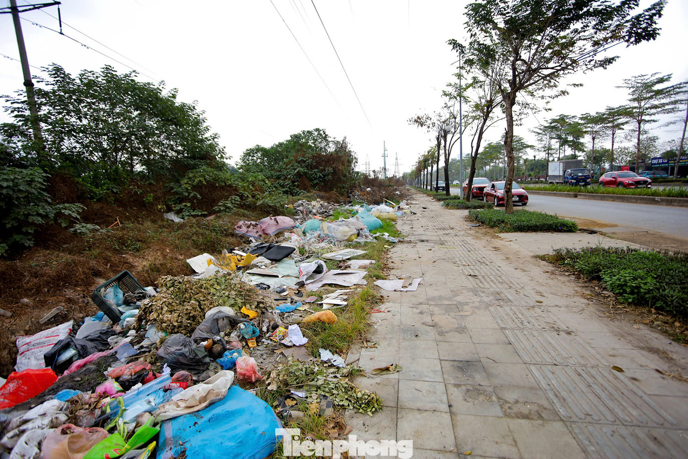 Rác thải tập kết nhiều năm ven đường Phạm Tu (Hà Nội). Ảnh: Trọng Tài. Rác thải tập kết nhiều năm ven đường Phạm Tu (Hà Nội). Ảnh: Trọng Tài.