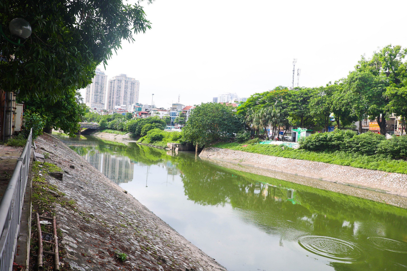 Có thể quan sát rõ màu nước sông Tô Lịch chuyển sang màu xanh lục bằng mắt thường. Ảnh: Nguyễn Trọng Tài.