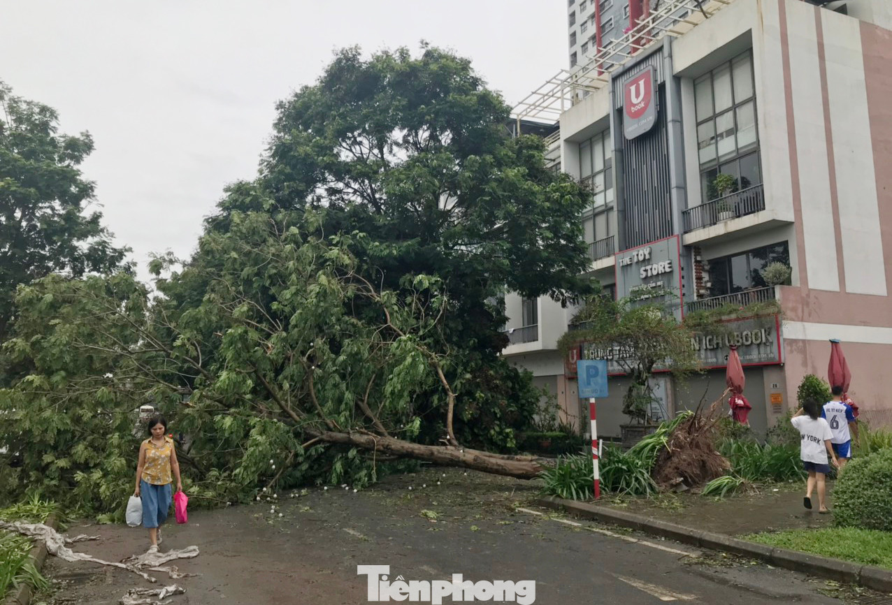 Cây xanh gãy, đổ ở Khu đô thị Gamuda (Hoàng Mai, Hà Nội). Ảnh: Trường Phong.