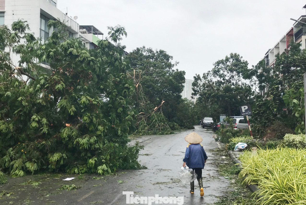 Cây xanh gãy đổ do bão số 3 trên địa bàn thành phố Hà Nội. Ảnh: Trường Phong.
