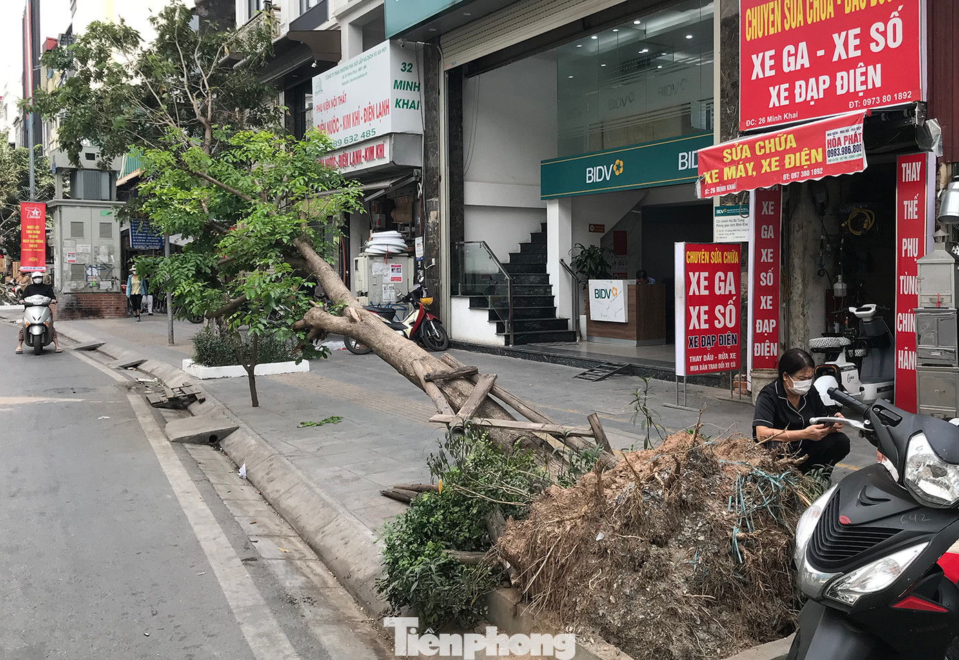Cây nghiêng, đổ trên vỉa hè đường Minh Khai chiều 14/10...