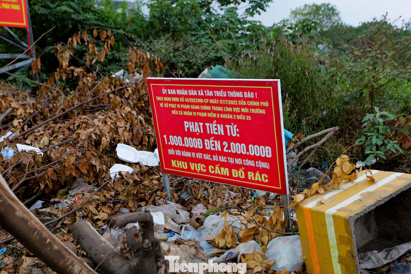 Theo ghi nhận của phóng viên, khu vực này đã thành nơi tập kết rác thải nhiều năm nay. Dù chính quyền địa phương đã gắn biển cảnh báo mức xử phạt, tuy nhiên, đều bị phớt lờ. Ảnh: Trọng Tài.