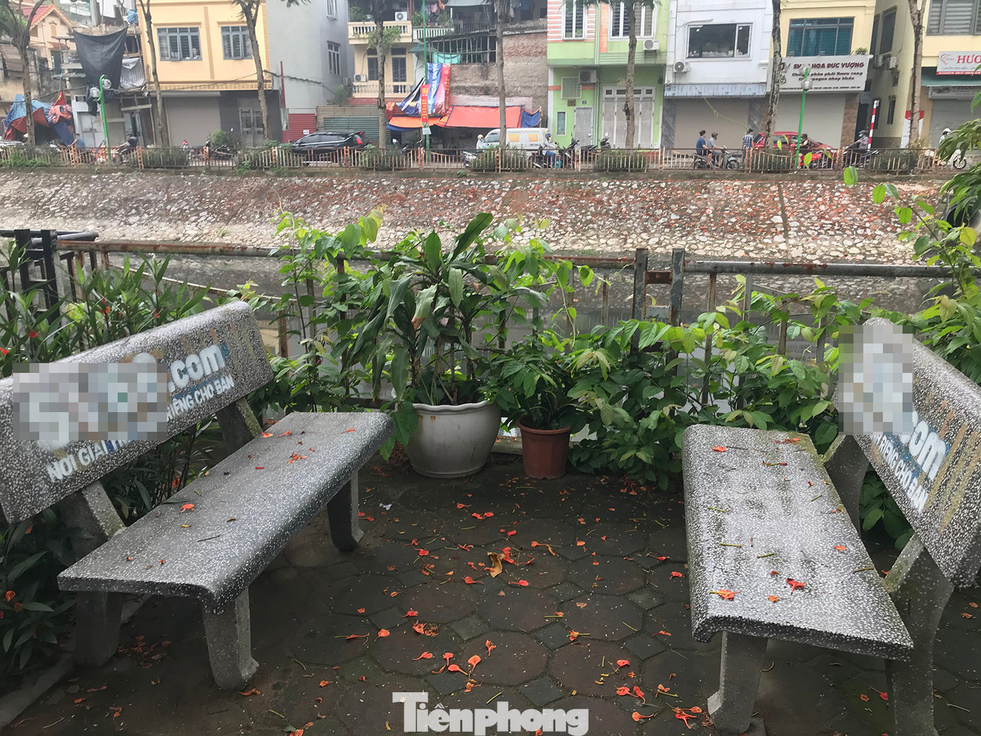 Hầu như ghế đá nào cũng bị phun sơn ghi tên trang web này. Theo tìm hiểu của phóng viên, đây là trang web liên quan đến hoạt động cờ bạc trực tuyến.