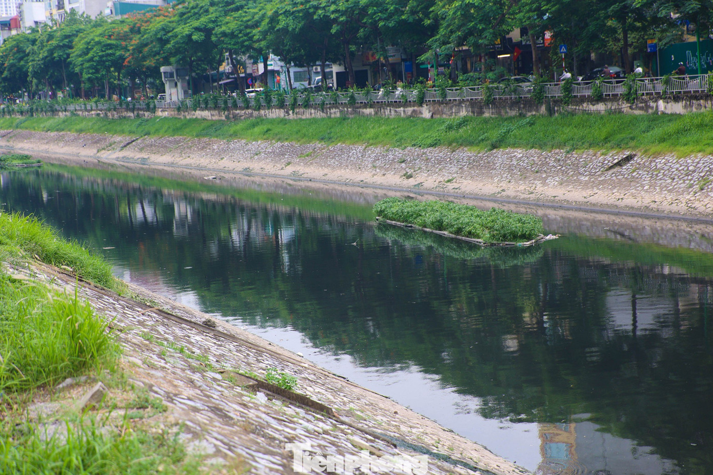 Sông Tô Lịch hiện phải tiếp nhận trực tiếp nước thải của khu dân cư hai bên sông với hàng triệu người, khiến dòng sông ô nhiễm nghiêm trọng. Ảnh: Nguyễn Trọng Tài.