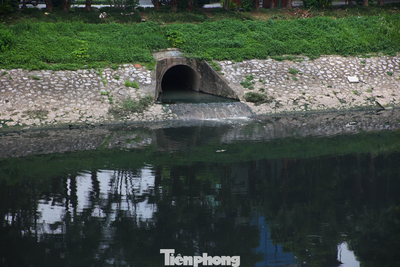Những cống nước thải đổ trực tiếp xuống sông Tô Lịch. Ảnh: Nguyễn Trọng Tài.