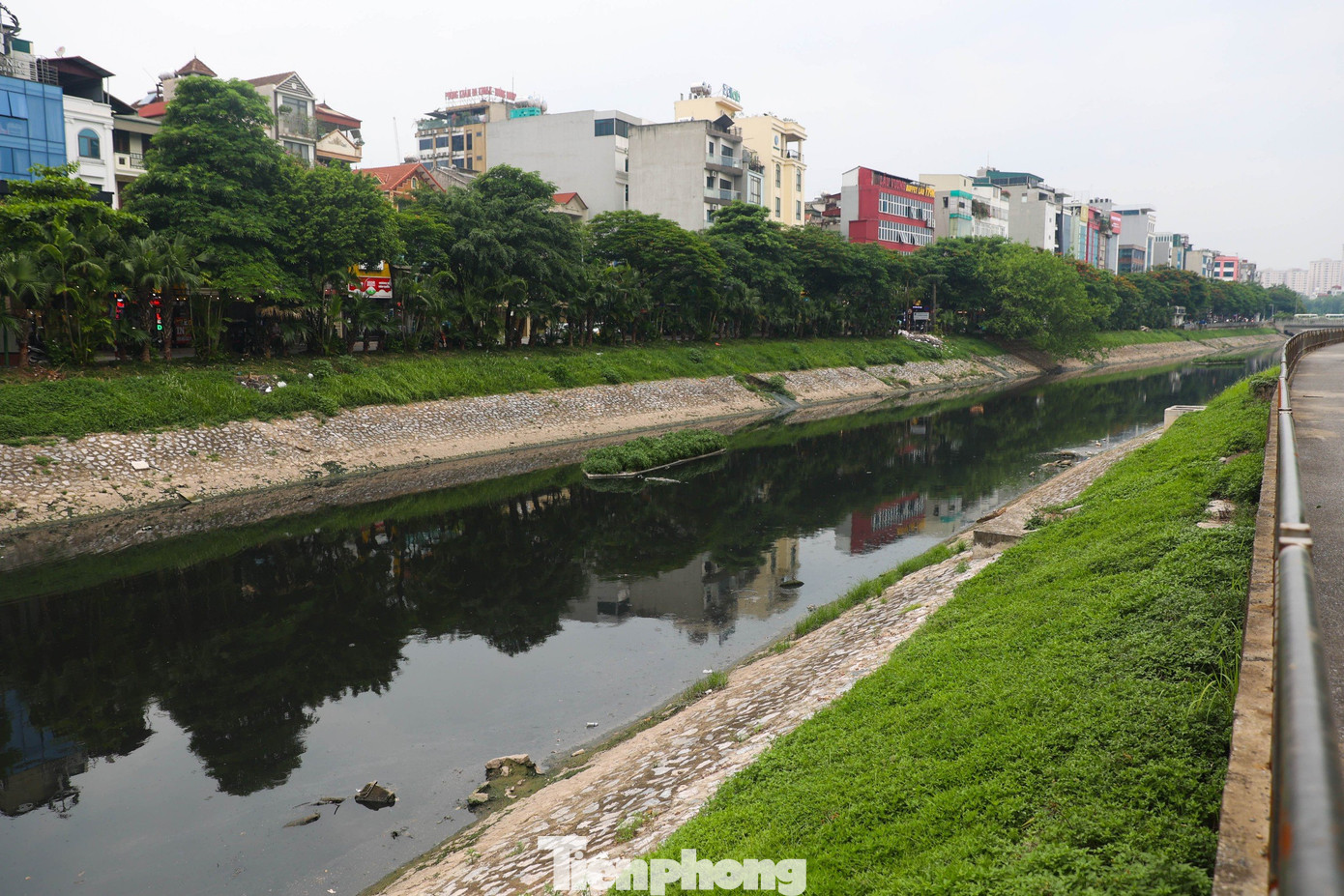 Hiện nay, thành phố Hà Nội đang nỗ lực thực hiện dự án thu gom toàn bộ nước thải ven sông Tô Lịch để dẫn về Hệ thống xử lý nước thải Yên Xá để xử lý, làm sạch. Theo lãnh đạo thành phố Hà Nội, khi dự án này hoàn thành sẽ thắp lên hy vọng hồi sinh, trả lại dáng vẻ xưa cho sông Tô Lịch như trong câu thơ: Nước sông Tô vừa trong vừa mát/Em ghé thuyền đỗ sát thuyền anh/Dừng chèo muốn tỏ tâm tình/Sông bao nhiêu nước thương mình bấy nhiêu.
