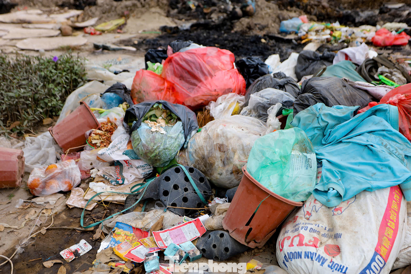 Kể từ thời điểm đưa vào sử dụng, ven đường Phạm Tu xuất hiện rất nhiều rác thải, tồn đọng nhiều năm không ai xử lý. Ảnh: Trọng Tài.