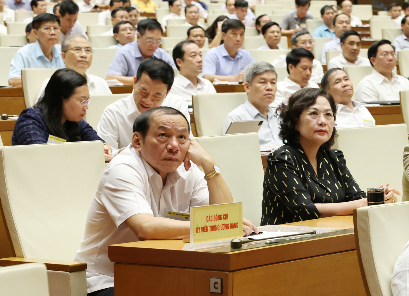 Các đại biểu dự hội nghị. (Ảnh: Như Ý)