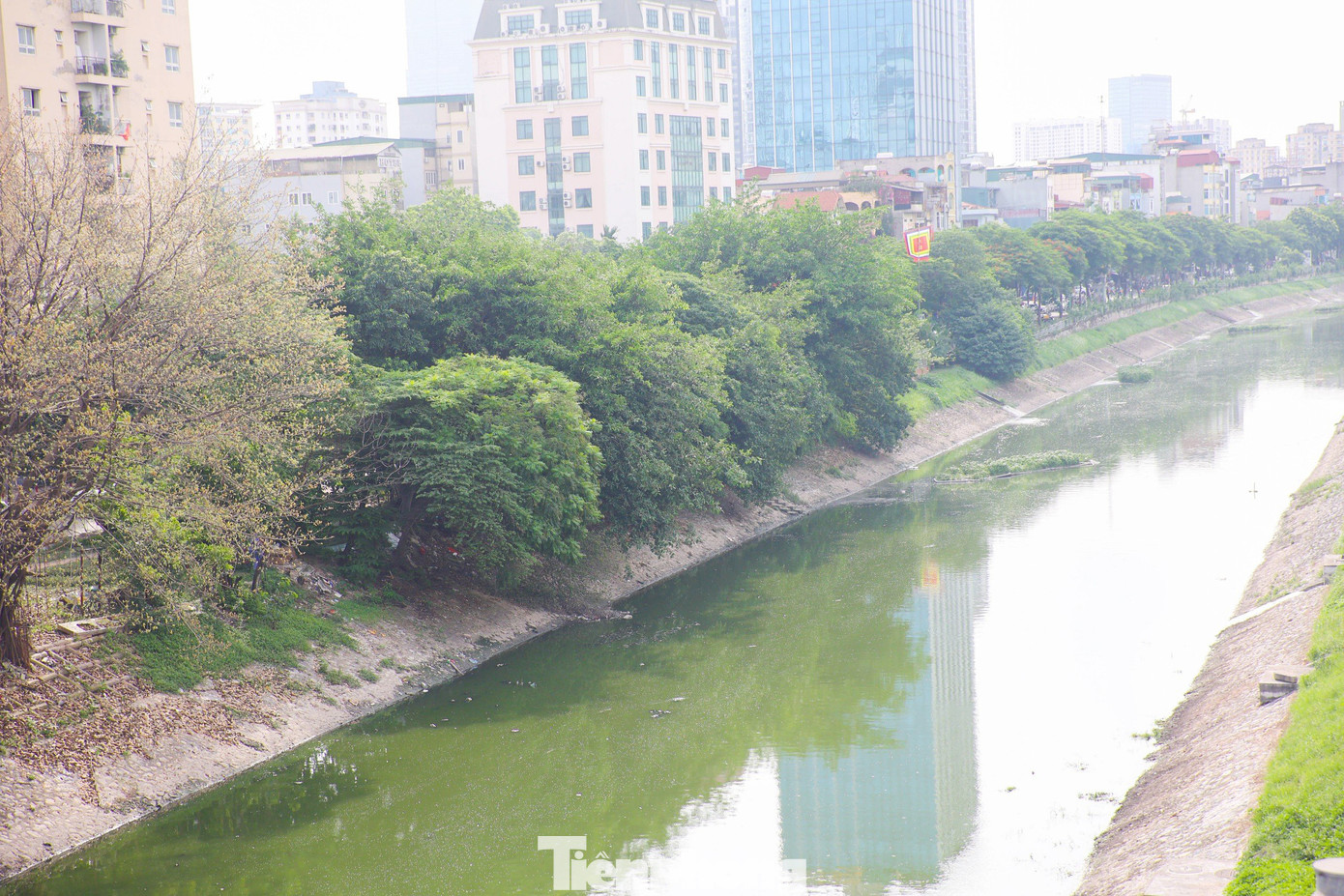 Cách đây vài ngày, nước sông Tô Lịch bỗng chuyển màu xanh lục khiến nhiều người dân Thủ đô thích thú. Theo Công ty TNHH MTV Thoát nước Hà Nội, nguyên nhân của hiện tượng này là do sông Tô Lịch được nhận một lượng lớn nước chảy vào từ hồ Tây. Ảnh: Nguyễn Trọng Tài.