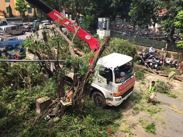 Hà Nội đang thu dọn cây xanh gãy, đổ do bão số 3. Ảnh: Trường Phong. Hà Nội đang thu dọn cây xanh gãy, đổ do bão số 3. Ảnh: Trường Phong.