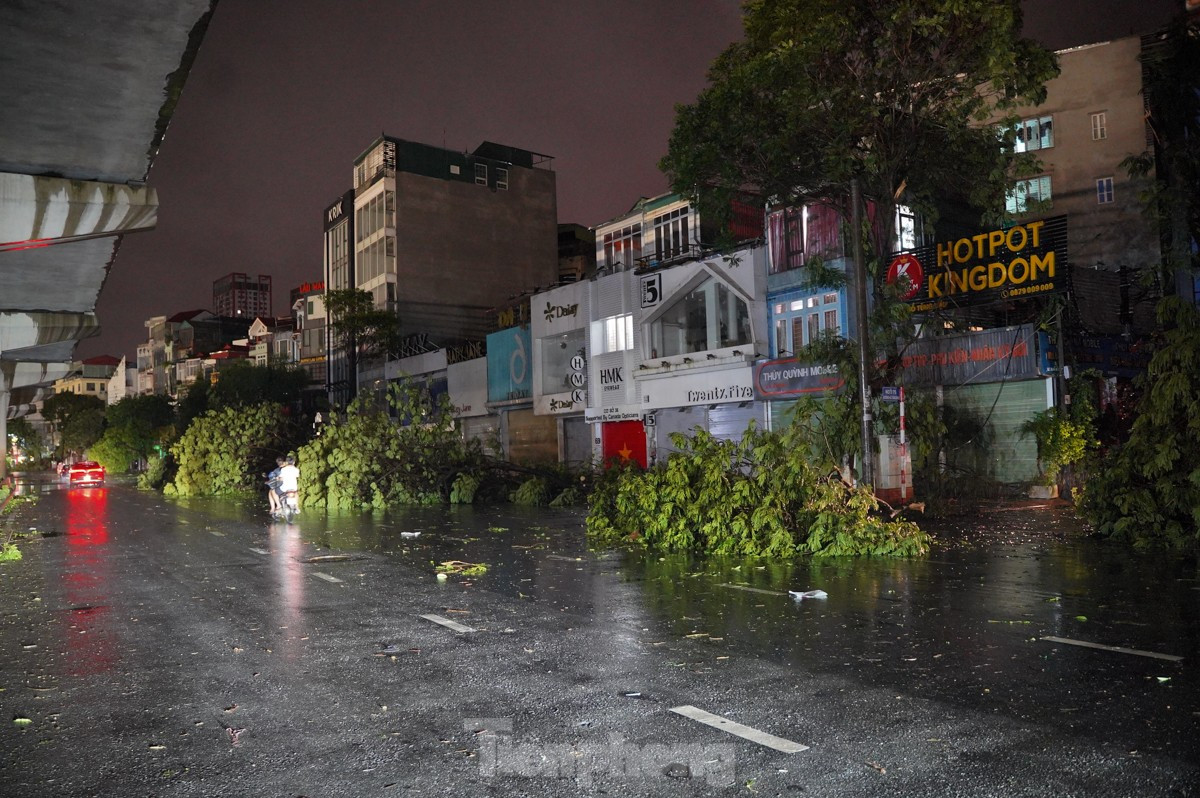 Cây gãy đổ do mưa bão ở Hà Nội tối 7/9. Ảnh: Đức Nguyễn.