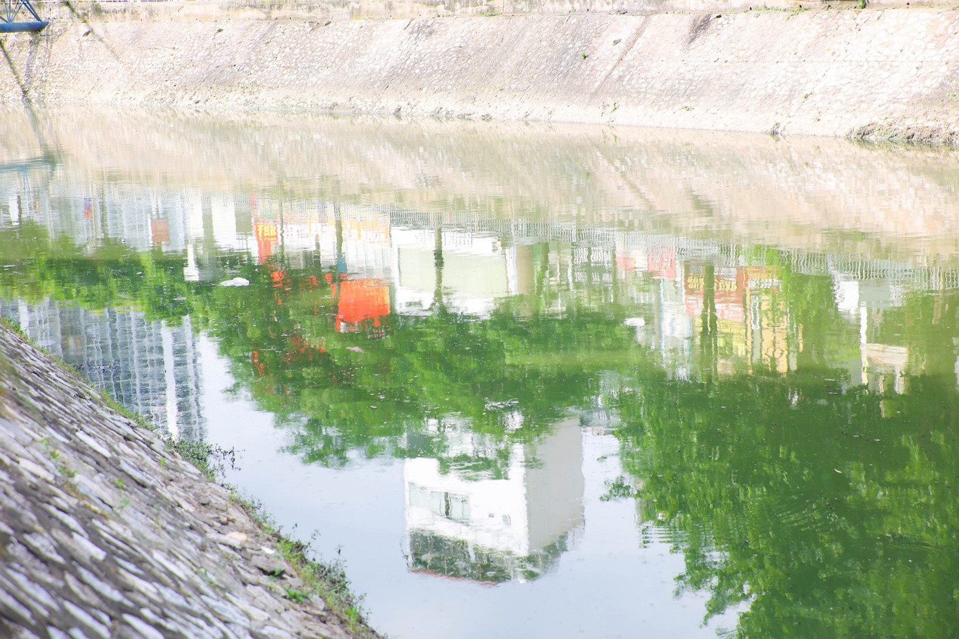 Trao đổi với phóng viên Tiền Phong, đại diện Công ty Thoát nước Hà Nội cho biết, do đơn vị quản lý vận hành mực nước hồ Tây mở cửa để hạ bớt mực nước hồ về mức quy định trong mùa mưa tăng khả năng trữ, điều hòa nước mưa. Nước hồ Tây chảy ra 1 phần nhỏ nhưng cũng làm nước sông Tô Lịch có màu xanh. Ảnh: Nguyễn Trọng Tài.