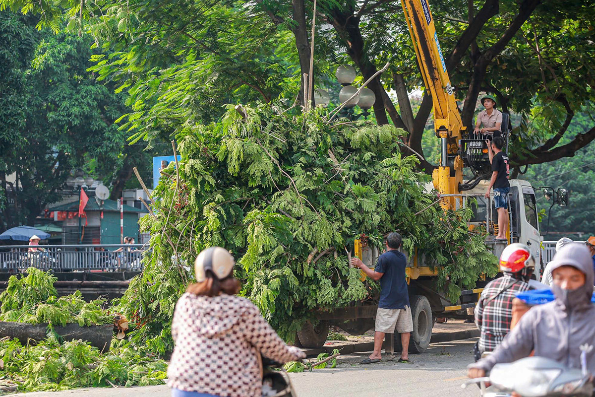 Những ngày qua, nhiều nhóm công nhân đã tiến hành cưa cành, cắt ngọn nhiều cây xanh ven tuyến đường Tam Trinh. Ảnh: Duy Phạm.