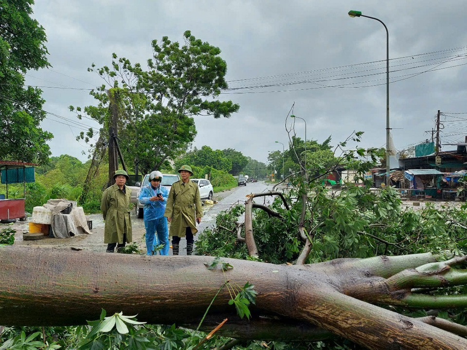 Chủ tịch UBND huyện Chương Mỹ Nguyễn Anh Đức chỉ đạo xử lý cây đổ chắn Quốc lộ 6, chiều 7/9. Ảnh: KTĐT.