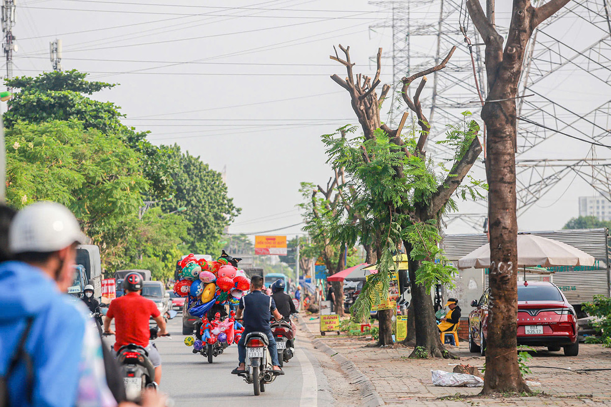 Những ngày qua, nhiều nhóm công nhân đã tiến hành cưa cành, cắt ngọn nhiều cây xanh ven tuyến đường Tam Trinh. Ảnh: Duy Phạm.