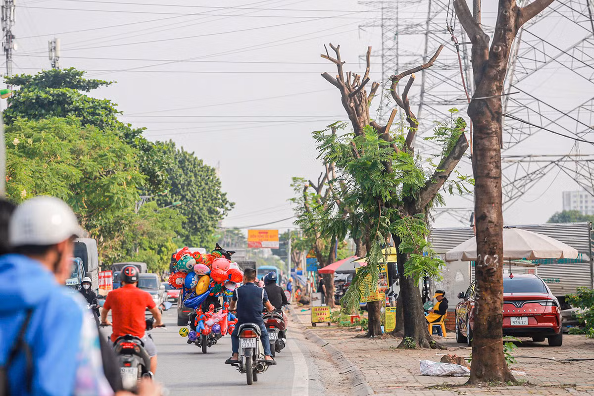 Những ngày qua, nhiều nhóm công nhân đã tiến hành cưa cành, cắt ngọn nhiều cây xanh ven tuyến đường Tam Trinh. Ảnh: Duy Phạm.
