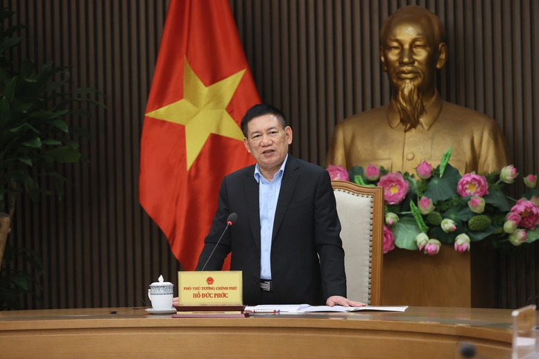 Phó Thủ tướng Hồ Đức Phớc phát biểu tại cuộc làm việc. Ảnh: VGP.