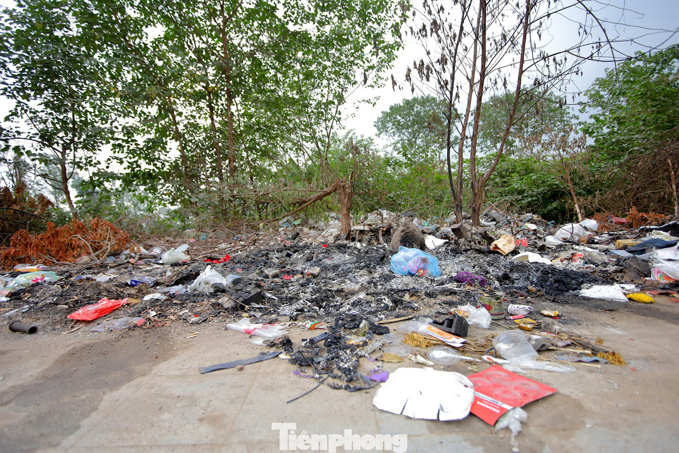 Kể từ thời điểm đưa vào sử dụng, ven đường Phạm Tu xuất hiện rất nhiều rác thải, tồn đọng nhiều năm không ai xử lý. Ảnh: Trọng Tài.
