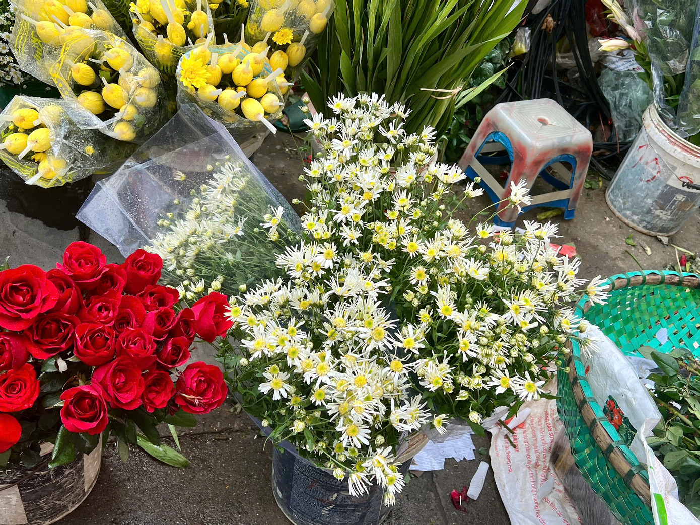 Cúc hoạ mi bày bán ở phố phường Hà Nội.