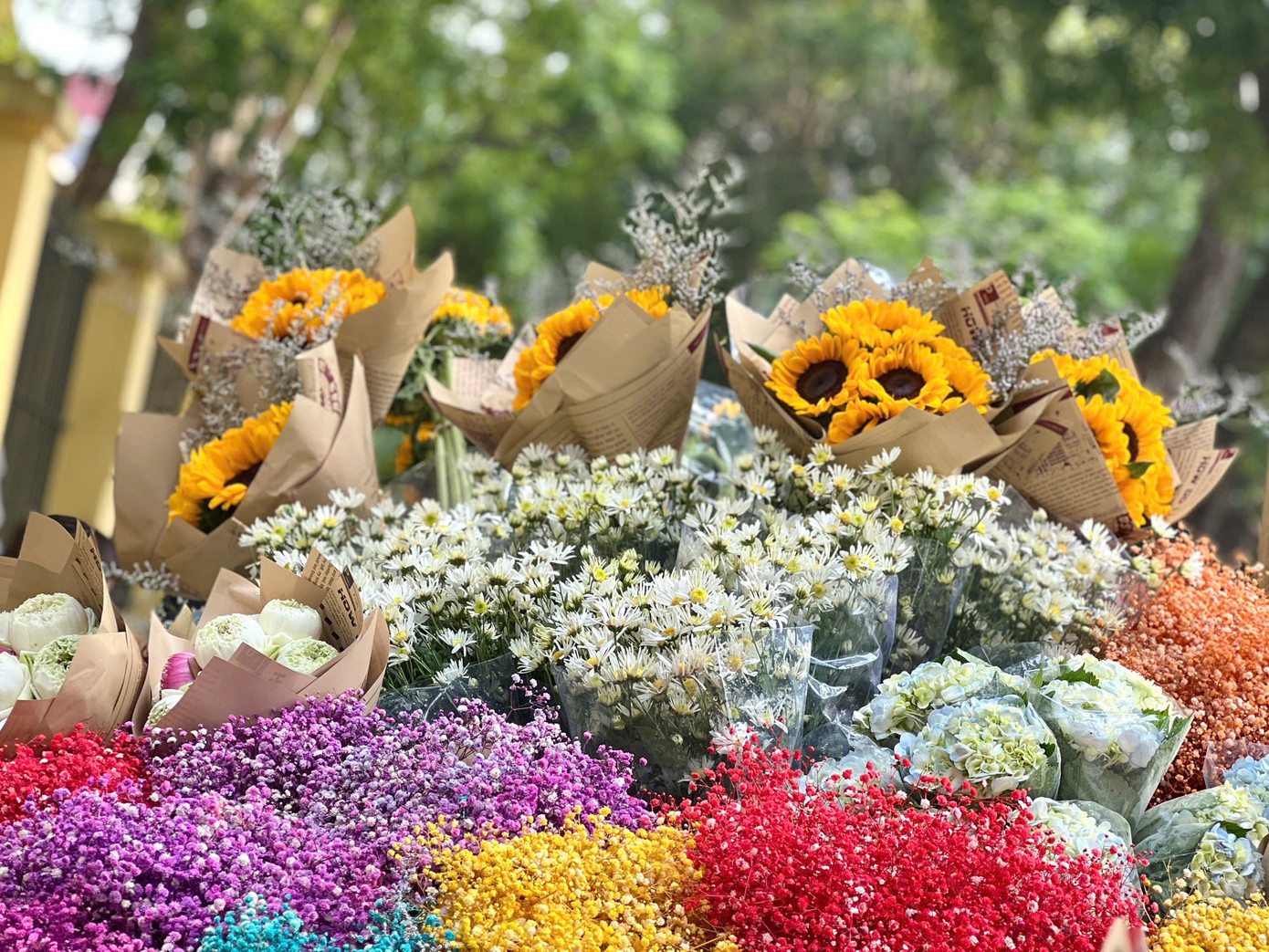 Cúc hoạ mi bày bán ở phố phường Hà Nội.