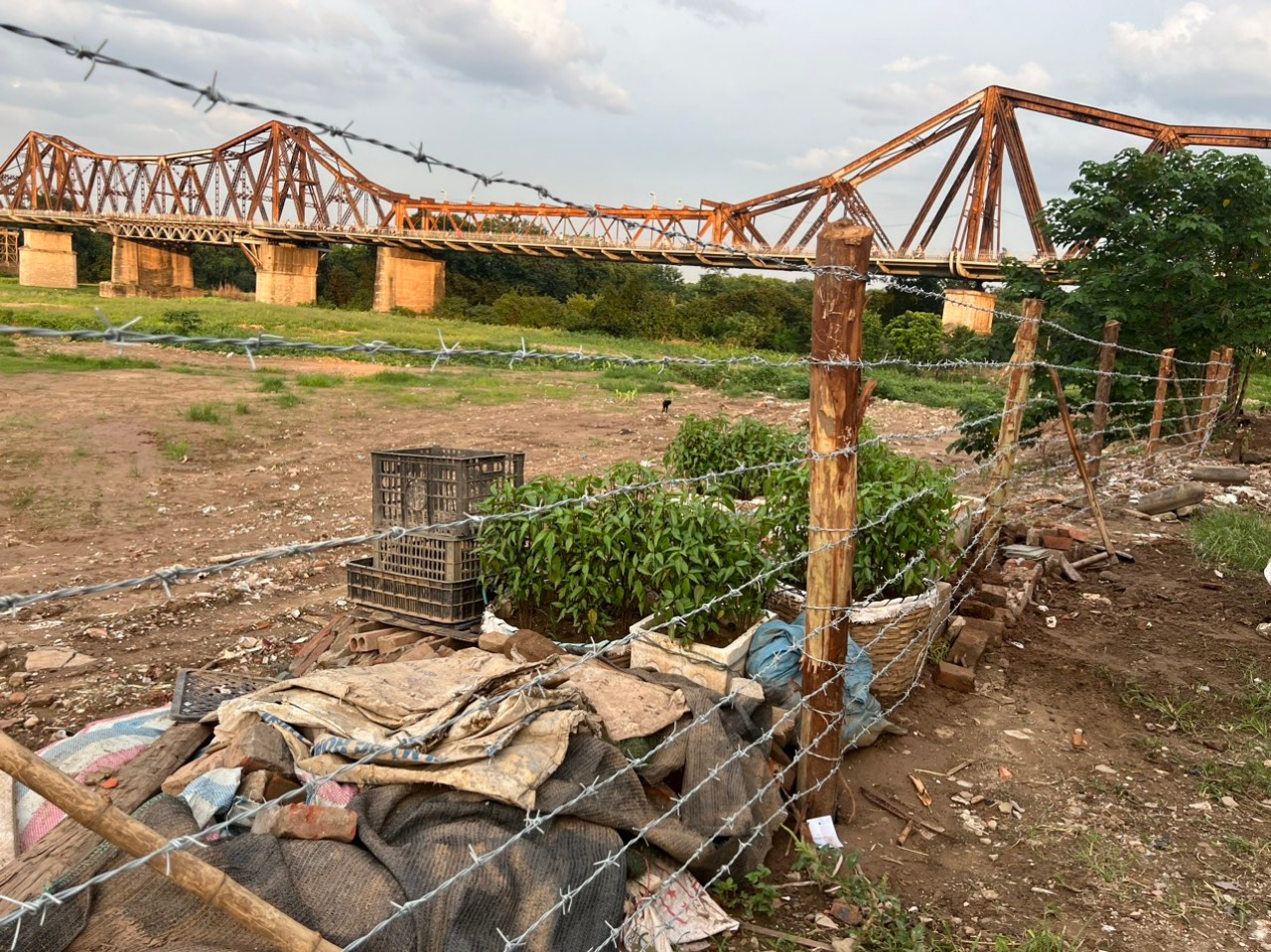 Theo UBND quận Ba Đình, lực lượng chức năng của quận, phường sẽ tiếp tục thực hiện các giải pháp ngăn chặn tái lấn chiếm, đổ phế thải ra bờ, bãi sông Hồng. Sau này, khi đã ổn định, phường, quận sẽ cải tạo cảnh quan khu vực bằng cách trồng thêm hoa, cây cỏ...