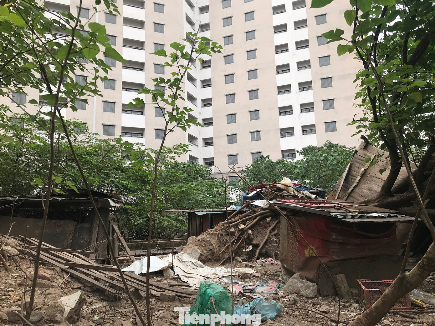 Nhiều chung cư tái định cư ở Hà Nội bỏ hoang nhiều năm, gây lãng phí lớn. Ảnh: Trường Phong