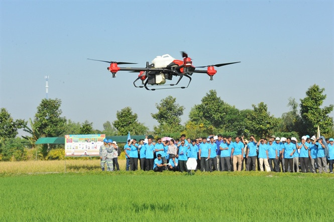 Trình diễn máy bay không người lái phun thuốc bảo vệ thực vật ở ĐBSCL. Ảnh: PV.