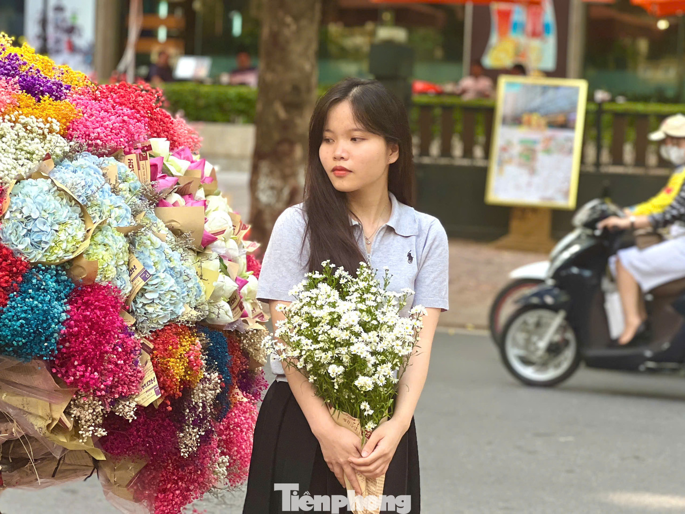 Nhiều bạn trẻ, phụ nữ tranh thủ chụp ảnh cùng hoa cúc hoạ mi và các loại hoa rực rỡ khác trong những ngày thu Hà Nội.