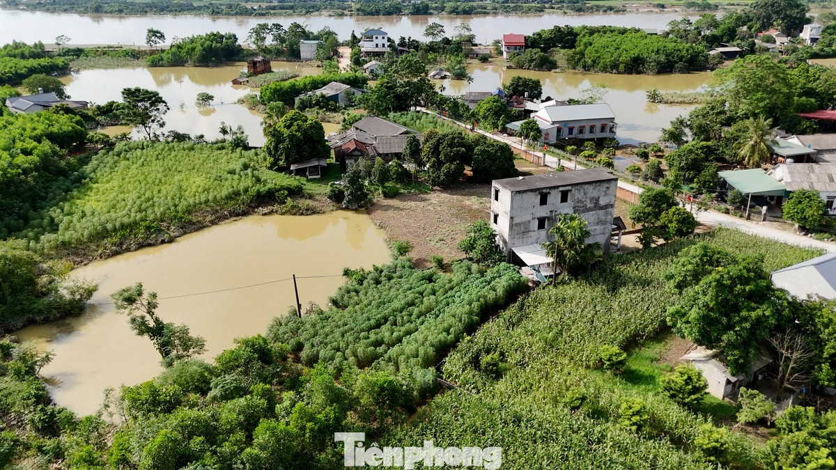 Một số khu vực bên trong đoạn đê vỡ thoát cảnh ngập lụt do nước chảy ngược ra sông Lô. Ảnh: Hoàng Mạnh Thắng.