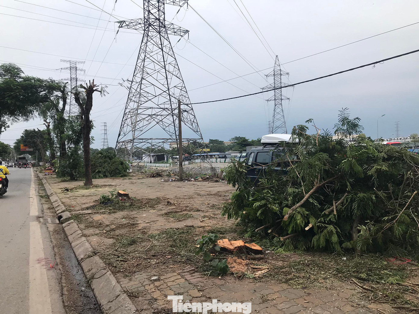 Đoạn đường này trước đó chủ yếu trồng cây phượng, cây lim xẹt (phượng vàng). Ảnh: Trường Phong. Đoạn đường này trước đó chủ yếu trồng cây phượng, cây lim xẹt (phượng vàng). Ảnh: Trường Phong.