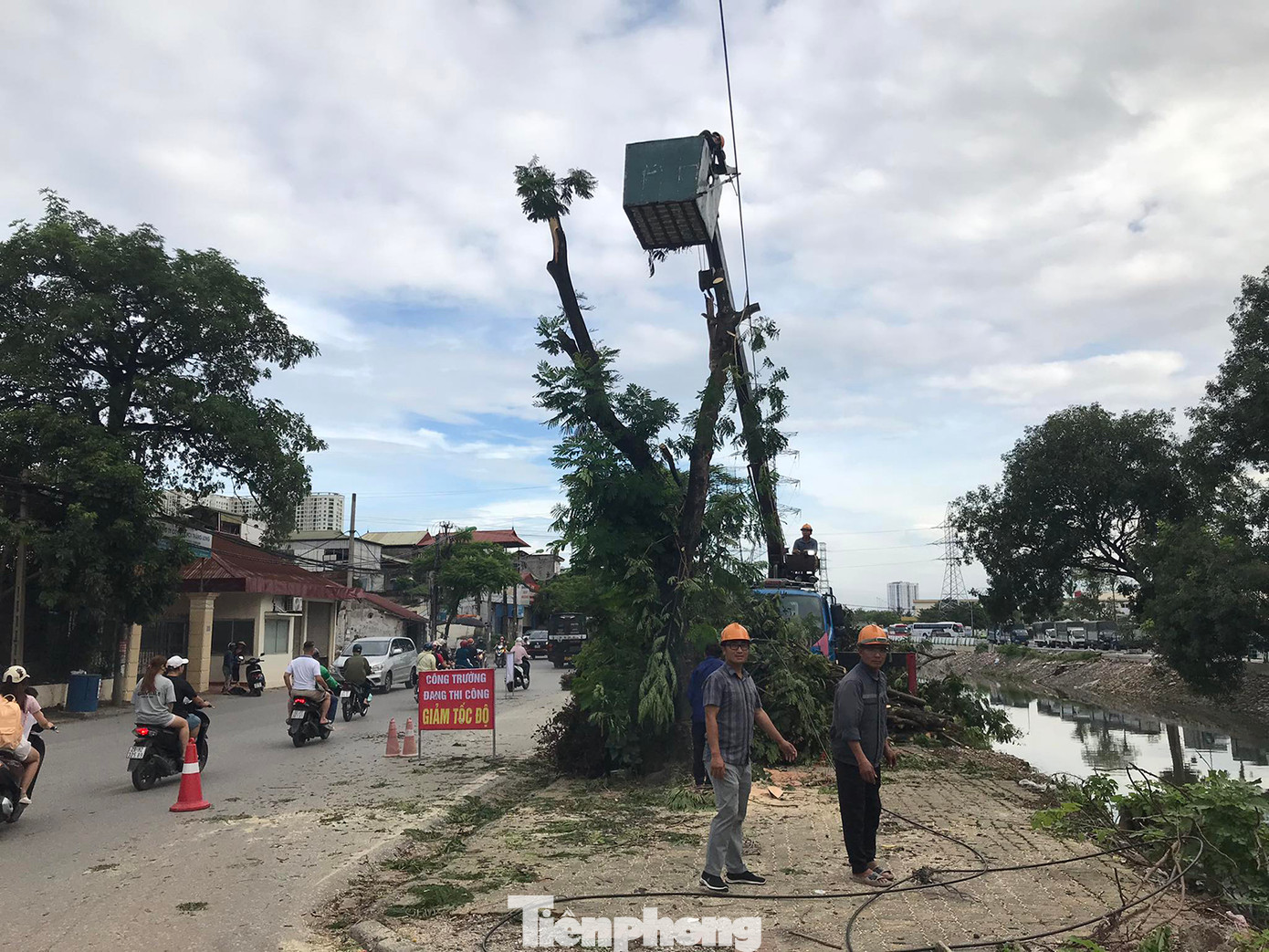 Theo thông tin tìm hiểu của phóng viên, việc cắt ngọn, tỉa cành cây xanh để phục vụ cho dự án mở rộng đường Tam Trinh. Ảnh: Trường Phong. Theo thông tin tìm hiểu của phóng viên, việc cắt ngọn, tỉa cành cây xanh để phục vụ cho dự án mở rộng đường Tam Trinh. Ảnh: Trường Phong.