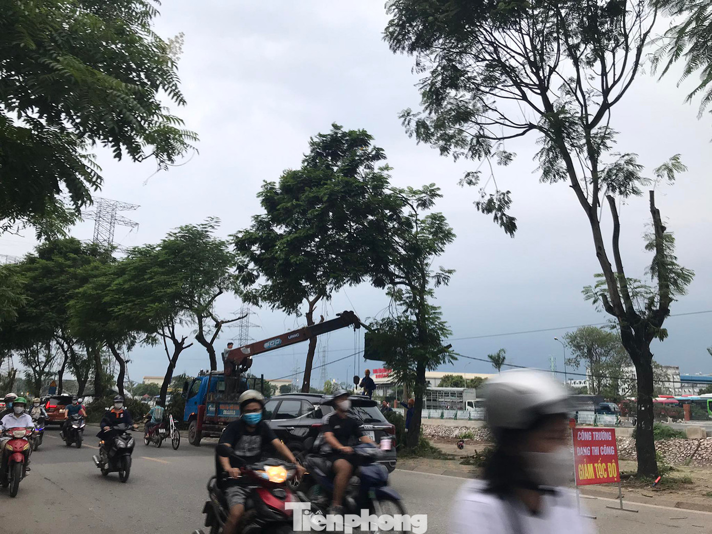 Những ngày qua, trên đường Tam Trinh (Hoàng Mai, Hà Nội), nhiều nhóm công nhân tiến hành cắt ngọn, cưa cành nhiều cây xanh nằm ven vỉa hè giáp sông Kim Ngưu. Ảnh: Trường Phong. Những ngày qua, trên đường Tam Trinh (Hoàng Mai, Hà Nội), nhiều nhóm công nhân tiến hành cắt ngọn, cưa cành nhiều cây xanh nằm ven vỉa hè giáp sông Kim Ngưu. Ảnh: Trường Phong.