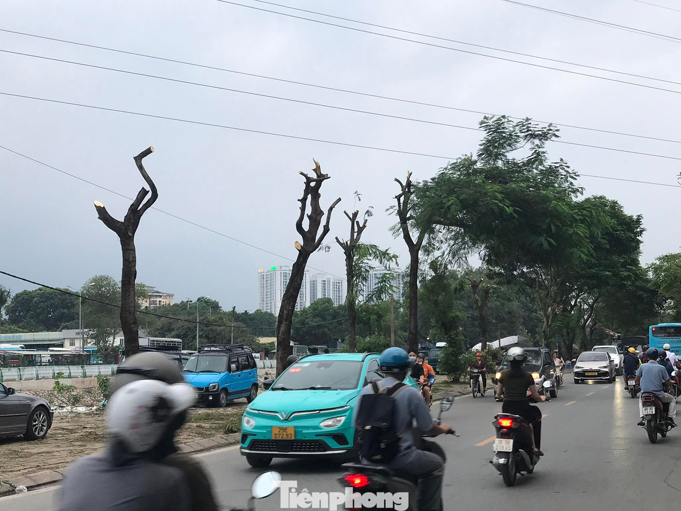 Những ngày qua, trên đường Tam Trinh (Hoàng Mai, Hà Nội), nhiều nhóm công nhân tiến hành cắt ngọn, cưa cành nhiều cây xanh nằm ven vỉa hè giáp sông Kim Ngưu. Ảnh: Trường Phong. Những ngày qua, trên đường Tam Trinh (Hoàng Mai, Hà Nội), nhiều nhóm công nhân tiến hành cắt ngọn, cưa cành nhiều cây xanh nằm ven vỉa hè giáp sông Kim Ngưu. Ảnh: Trường Phong.