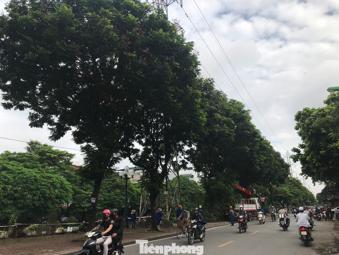 Những ngày qua, trên đường Tam Trinh (Hoàng Mai, Hà Nội), nhiều nhóm công nhân tiến hành cắt ngọn, cưa cành nhiều cây xanh nằm ven vỉa hè giáp sông Kim Ngưu. Ảnh: Trường Phong. Những ngày qua, trên đường Tam Trinh (Hoàng Mai, Hà Nội), nhiều nhóm công nhân tiến hành cắt ngọn, cưa cành nhiều cây xanh nằm ven vỉa hè giáp sông Kim Ngưu. Ảnh: Trường Phong.