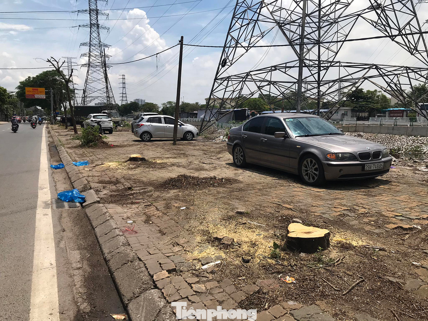 Đoạn đường này trước đó chủ yếu trồng cây phượng, cây lim xẹt (phượng vàng). Ảnh: Trường Phong. Đoạn đường này trước đó chủ yếu trồng cây phượng, cây lim xẹt (phượng vàng). Ảnh: Trường Phong.