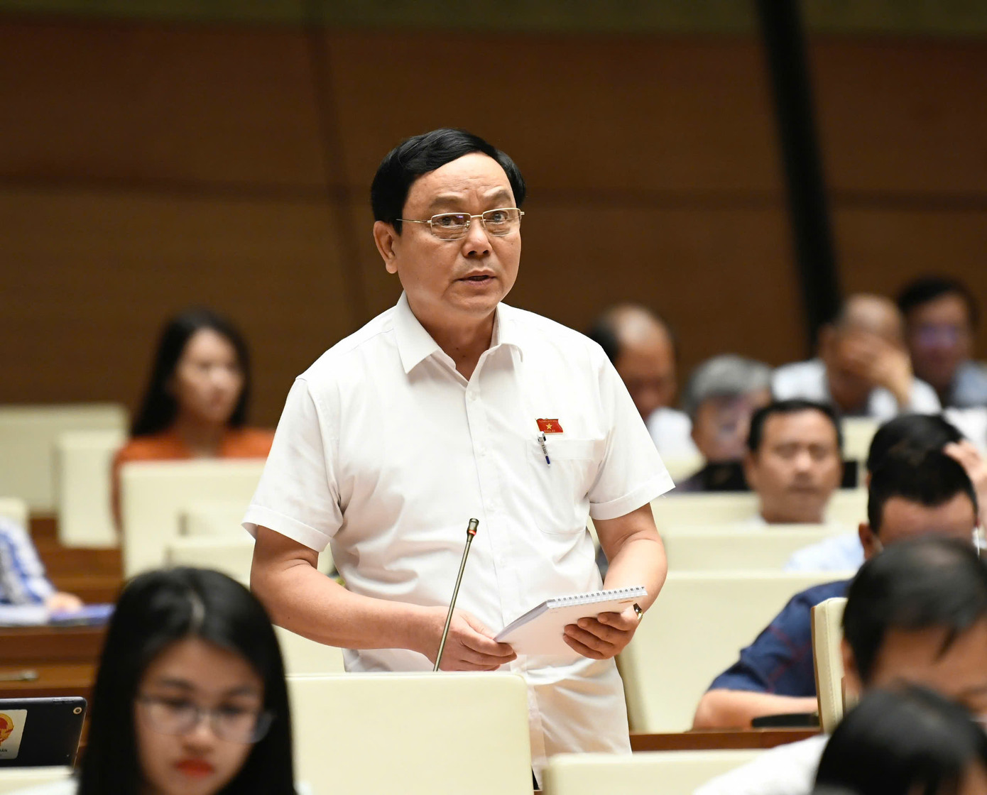 Đại biểu Hoàng Đức Thắng. Ảnh: Như Ý. Đại biểu Hoàng Đức Thắng. Ảnh: Như Ý.