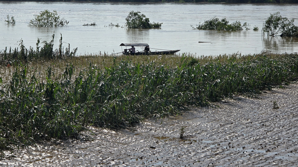 Nhiều diện tích hoa màu ở bãi bồi sông Lô bị nước lũ "thổi bay", chỉ còn trơ lại bùn đất. Ảnh: Hoàng Mạnh Thắng.