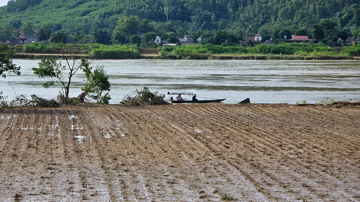 Nhiều diện tích hoa màu ở bãi bồi sông Lô bị nước lũ "thổi bay", chỉ còn trơ lại bùn đất. Ảnh: Hoàng Mạnh Thắng.