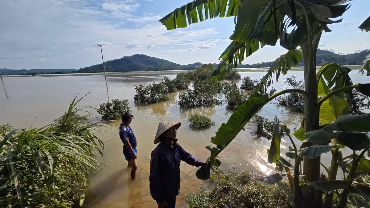 Khu vực ven sông Lô có nhiều vườn trồng chanh với diện tích lớn, thiệt hại nặng sau mưa lũ. Ảnh: Hoàng Mạnh Thắng.