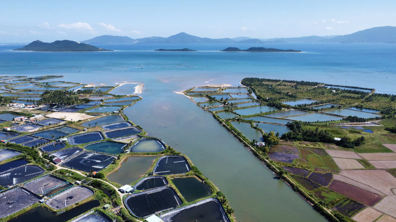 Dự án có diện tích khoảng 500 ha. Hiện khu vực này là đất nuôi trồng thủy sản, mặt nước biển và phù hợp quy hoạch chung xây dựng Khu kinh tế Vân Phong, tỉnh Khánh Hòa đến năm 2040.