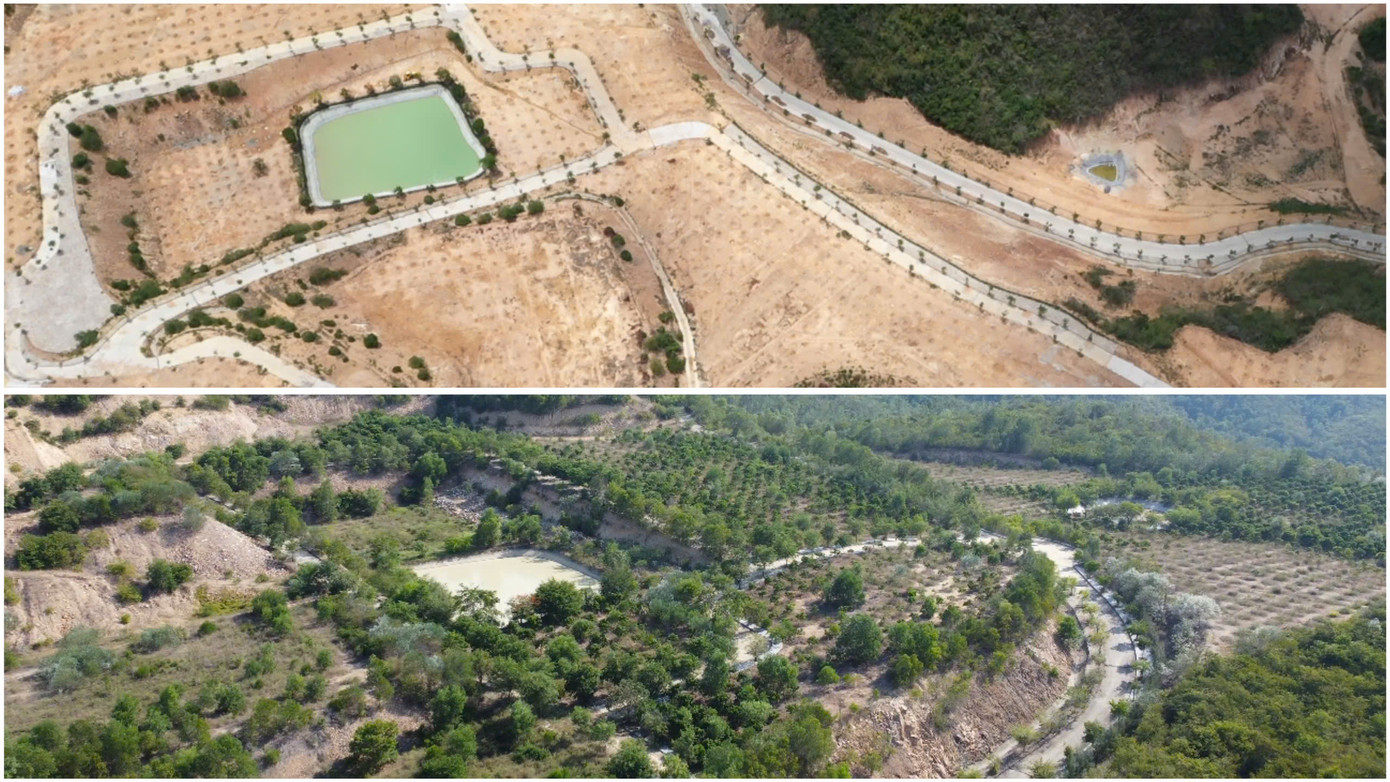 Núi Chín Khúc bị cắt ngọn, băm nát. Chủ đầu tư cho đổ đất, san bằng và làm đường lên núi. Hàng chục hecta núi bị đào bới, tạo mặt bằng rộng hàng chục nghìn m2 để làm dự án khiến ai nhìn thấy cũng phải đau lòng (ảnh trên). Đến hôm nay, một góc mặt bằng dự án Biệt thự sông núi Vĩnh Trung được trồng kín cây. Ảnh: Tiến Đạt.