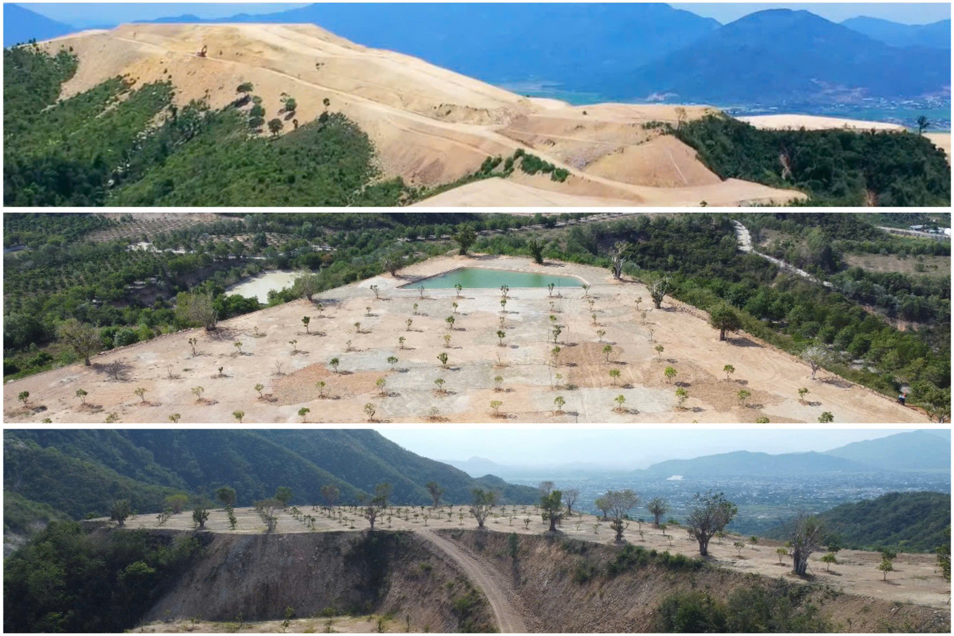 Một phần dự án Cửu Long Sơn Tự bị san thành mặt bằng rộng (ảnh trên). Dự án sinh thái tâm linh Cửu Long Sơn Tự sau khi bị thu hồi thì còn lại 142,55ha, mặc dù đã được chủ đầu tư trồng cây xanh nhưng nhìn chung cũng chưa có nhiều thay đổi so với trước. Một phần diện tích của dự án đã được trồng cây phủ xanh (hai ảnh dưới). Ảnh: Tiến Đạt.