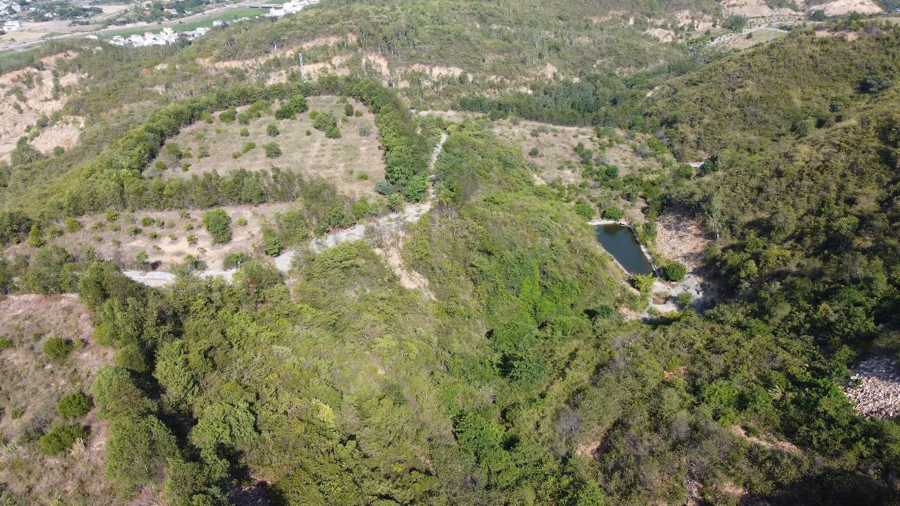 Nhiều diện tích khác trên núi Chín Khúc cũng được trồng nhiều cây xanh. Ảnh: Tiến Đạt.