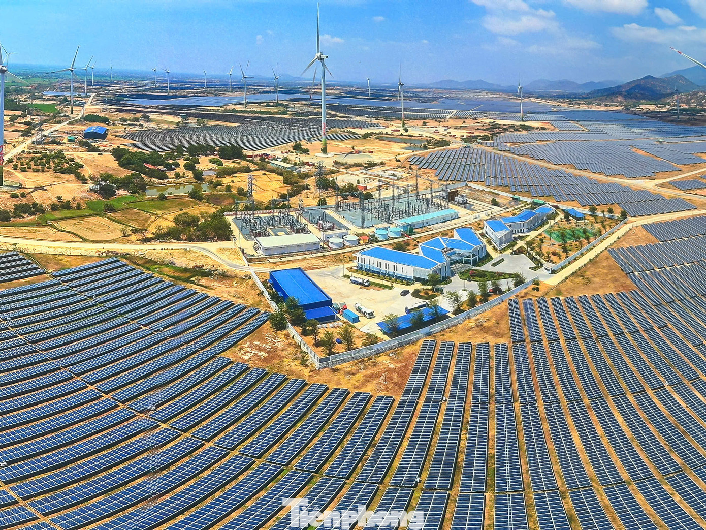 Nhiều cán bộ Ninh Thuận có vi phạm liên quan dự án điện gió, điện mặt trời. Ảnh: L.H.