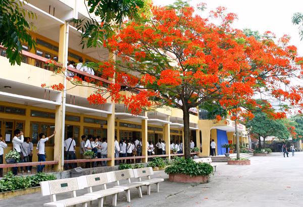 chuẩn bị vào phòng thi