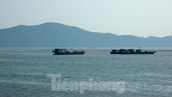 Dân phản đối đại dự án khai thác cát biển vùng biên: Tỉnh Quảng Ninh nói gì? ảnh 2