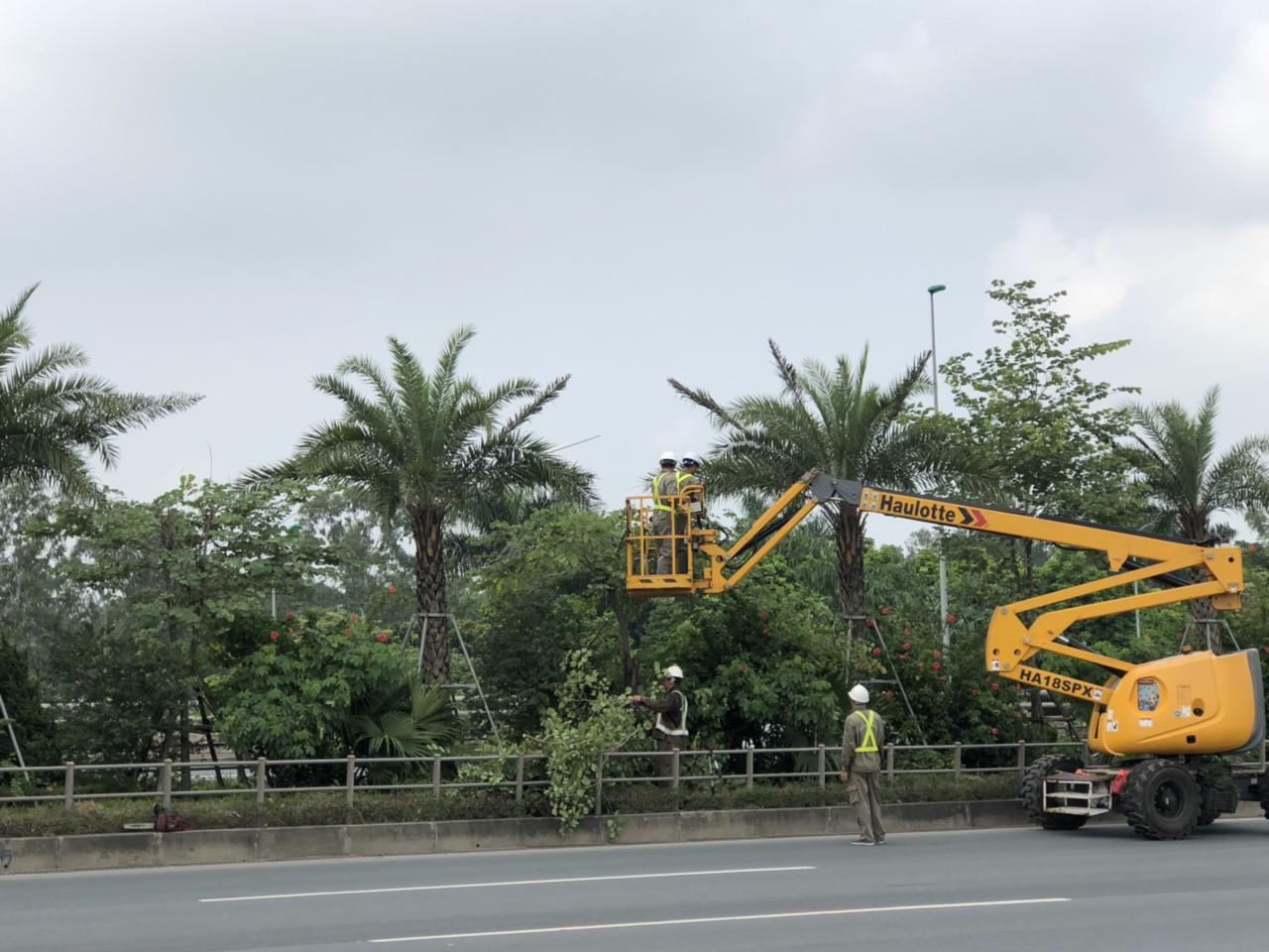 Cắt tỉa cây xanh, chỉnh trang đường phố chờ dỡ bỏ hoàn toàn cách ly ảnh 8