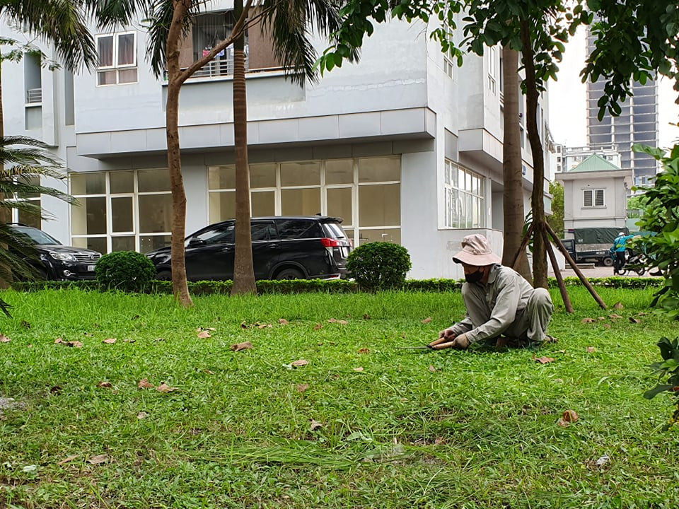 Cắt tỉa cây xanh, chỉnh trang đường phố chờ dỡ bỏ hoàn toàn cách ly ảnh 3